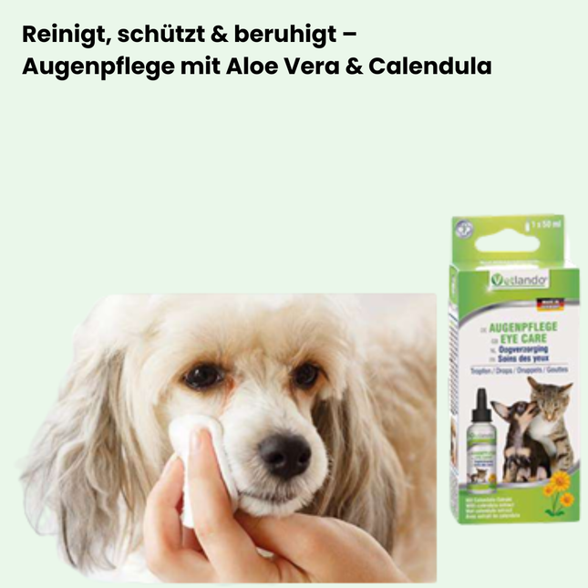 Augenpflege für Hunde – Sanfte Reinigung & Schutz