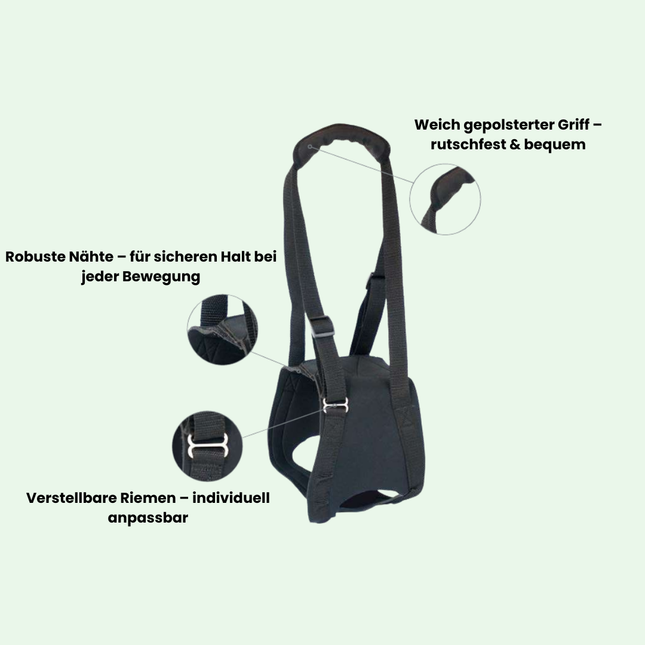 Gehhilfe für Hunde – Unterstützung bei Verletzungen & Mobilitätsproblemen