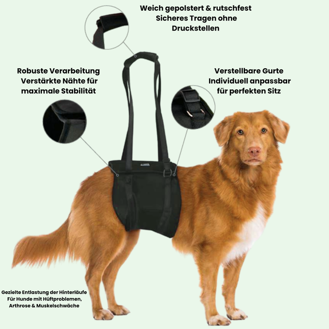 Tragehilfe für Hunde – Unterstützung beim Gehen & Aufstehen