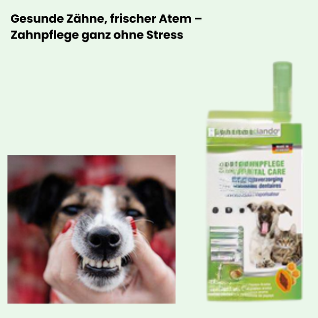 Zahnpflege-Gel für Hunde & Katzen – mit Aloe Vera & ohne Fluorid