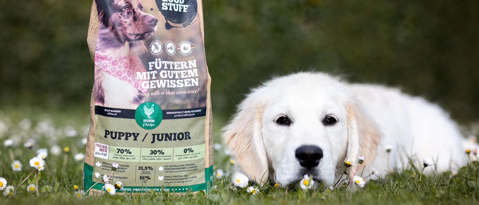 Gesunde Ernährung für einen Welpen