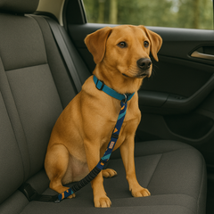 Autozubehör für Hunde