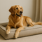 Hundebett