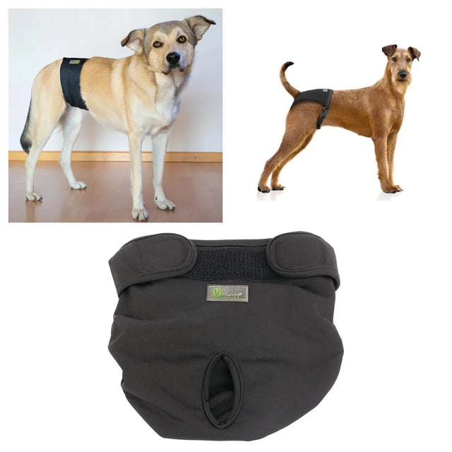 Hundewindeln & Läufigkeit