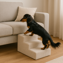 Collection image for: Hundetreppe
