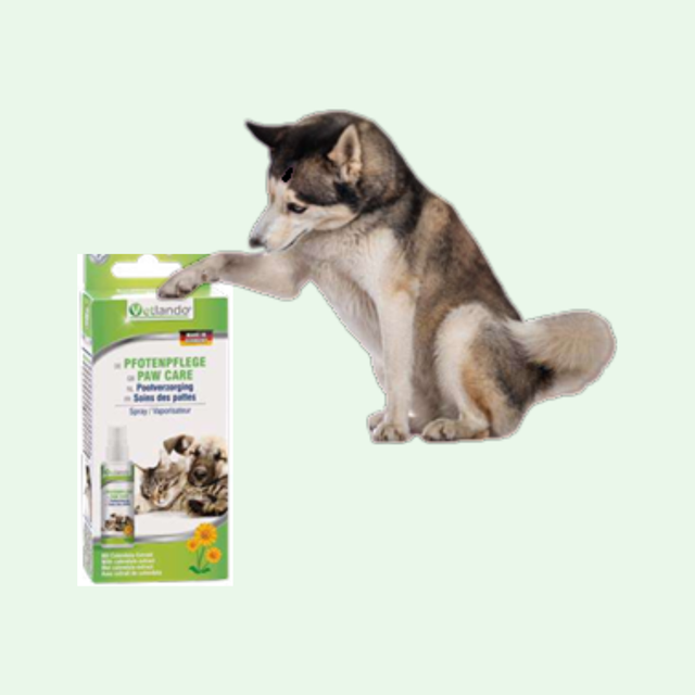 Pfotenpflege für Hunde & Katzen – Schutz, Pflege & Regeneration