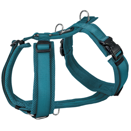 Mesh Y-Comfort Hundegeschirr – leicht, atmungsaktiv & verstellbar