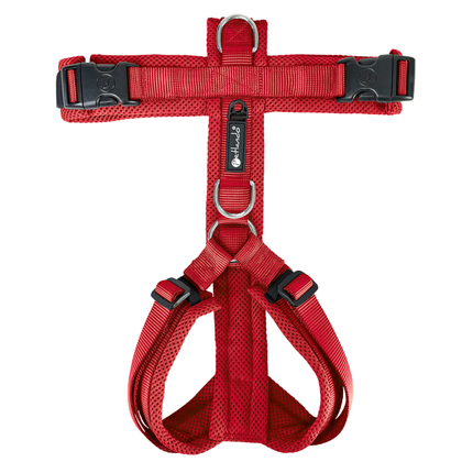 Mesh Y-Comfort Hundegeschirr – leicht, atmungsaktiv & verstellbar