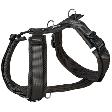 Mesh Y-Comfort Hundegeschirr – leicht, atmungsaktiv & verstellbar