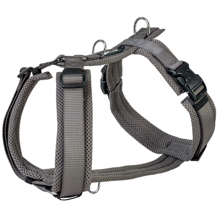 Mesh Y-Comfort Hundegeschirr – leicht, atmungsaktiv & verstellbar