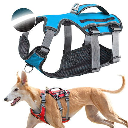 Ergonomisches Hunde Geschirr – Sicher, bequem & verstellbar