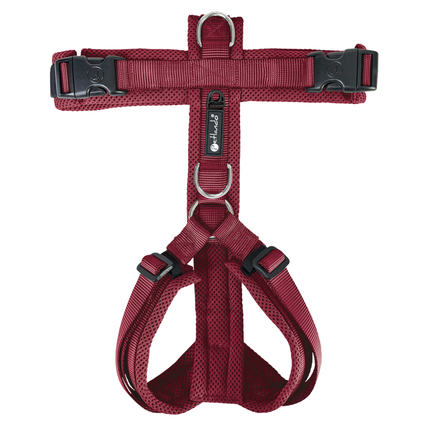 Mesh Y-Comfort Hundegeschirr – leicht, atmungsaktiv & verstellbar