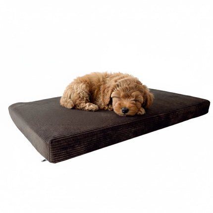 Orthopädische Hundematte – Like-Ortho Matte