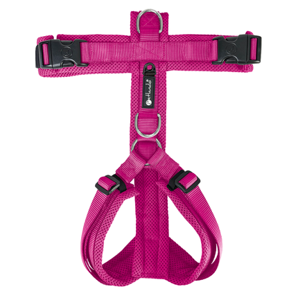 Mesh Y-Comfort Hundegeschirr – leicht, atmungsaktiv & verstellbar