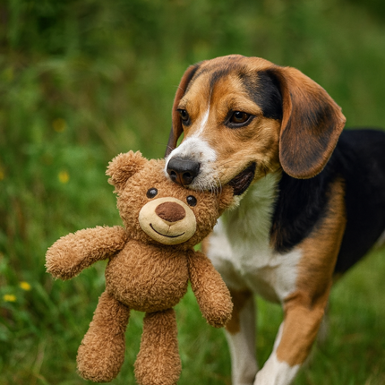 Bär Balu – XL Kuscheltier für Hunde & Kinder