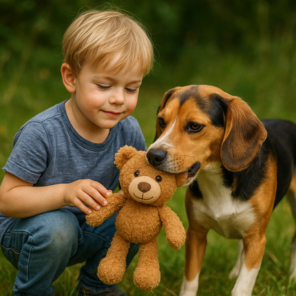 Bär Balu – XL Kuscheltier für Hunde & Kinder