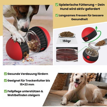 Hunde Interaktives Spielzeug - Futter