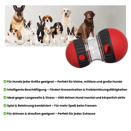 Hunde Interaktives Spielzeug - Futter