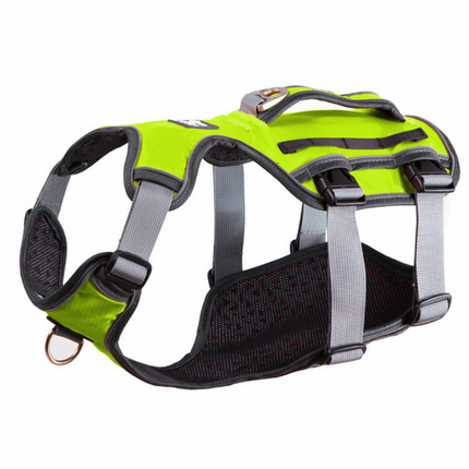 Ergonomisches Hunde Geschirr – Sicher, bequem & verstellbar
