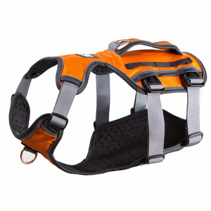 Ergonomisches Hunde Geschirr – Sicher, bequem & verstellbar