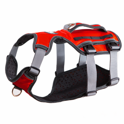 Ergonomisches Hunde Geschirr – Sicher, bequem & verstellbar