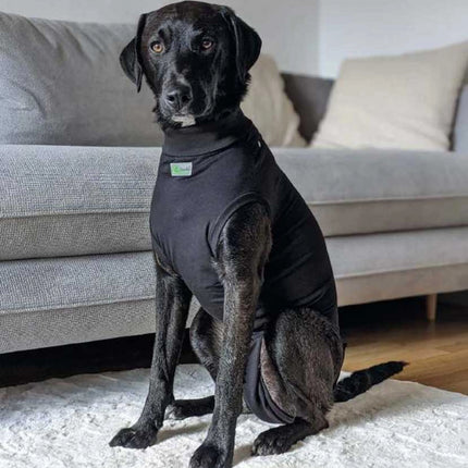 POST-OP-BODY – Schutzanzug nach OP (Hund & Katze)