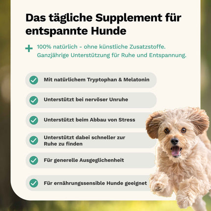 Snoggos Calm n’ Relax – Ergänzungsfutter für entspannte Hunde