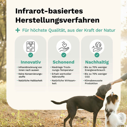 Snoggos Calm n’ Relax – Ergänzungsfutter für entspannte Hunde