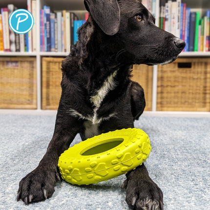 DOKKA Wheely – Hundespielzeug aus Naturkautschuk – Bild 6