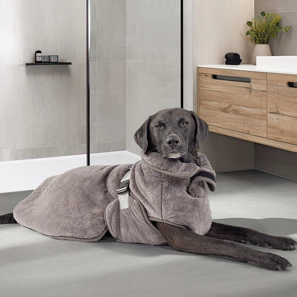 Hund trägt den Superdry Bademantel
