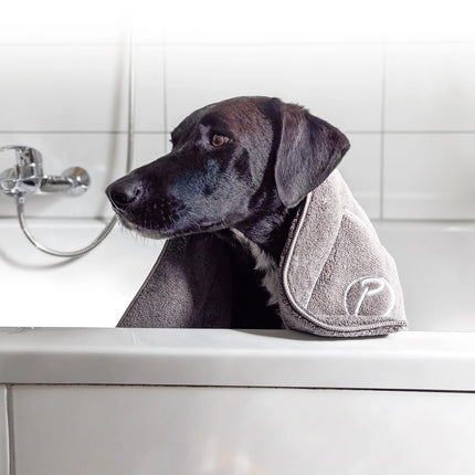 Hund wird mit dem Superdry Handtuch abgetrocknet