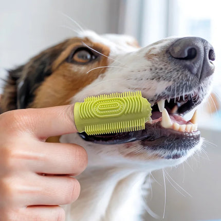 Vetlando Fingerzahnbürste in der Anwendung beim Hund