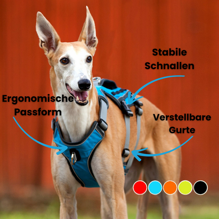 Ergonomisches Hunde Geschirr – Sicher, bequem & verstellbar