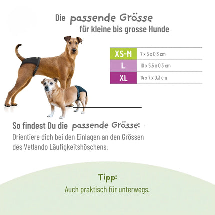 Einlagen für Läufigkeitshöschen – 10 Stück 