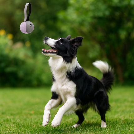 Everest Wurfball – Flieder | Robustes Hundespielzeug von Petlando