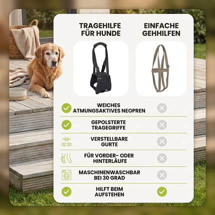 Gehhilfe für Hunde – sanfte Unterstützung beim Gehen