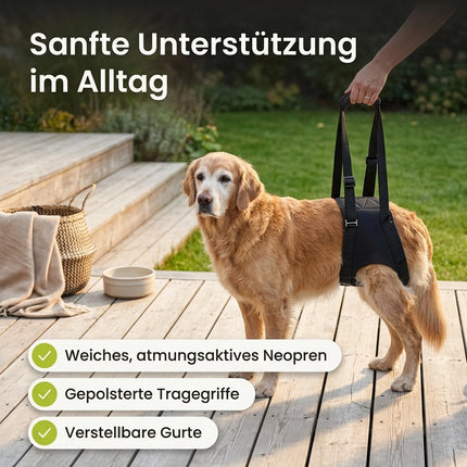 Gehhilfe für Hunde – sanfte Unterstützung beim Gehen