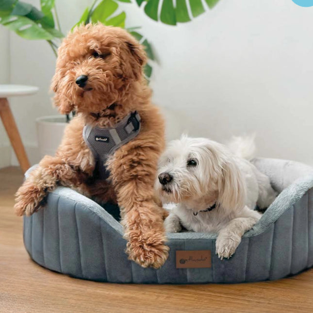 GENUA Ortho – orthopädisches Hundebett mit Wendekissen