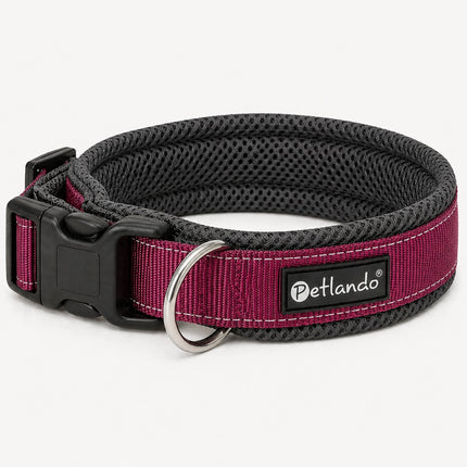 Leichtes Outdoor Hunde-Halsband – reflektierend & weich gepolstert