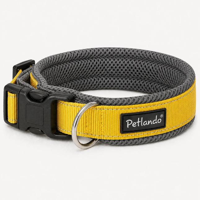 Leichtes Outdoor Hunde-Halsband – reflektierend & weich gepolstert