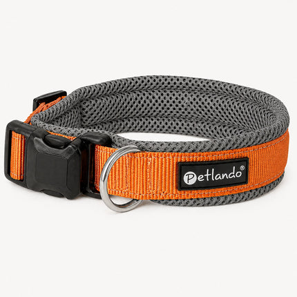Leichtes Outdoor Hunde-Halsband – reflektierend & weich gepolstert