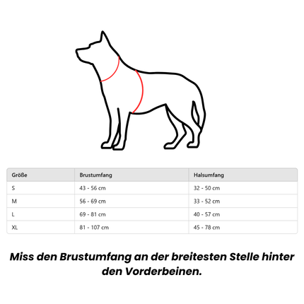 Ergonomisches Hunde Geschirr – Sicher, bequem & verstellbar