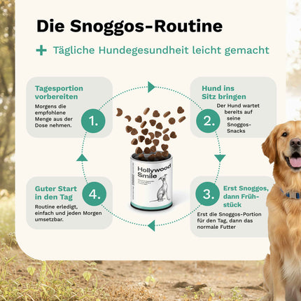 Snoggos Zahnpflege-Snacks für Hunde – Hollywood / Smile