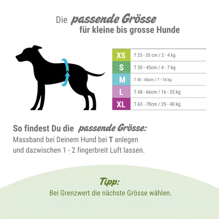 Waschbare Hündinnenwindel für Hunde – wiederverwendbar
