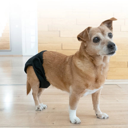 Waschbare Hündinnenwindel für Hunde – wiederverwendbar