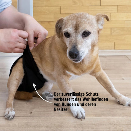 Waschbare Hündinnenwindel für Hunde – wiederverwendbar