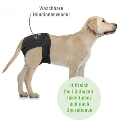Waschbare Hündinnenwindel für Hunde – wiederverwendbar