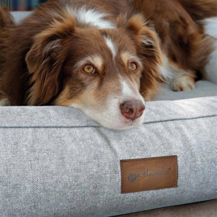 LIMA Ortho – orthopädisches Hundebett für gesunden Schlaf