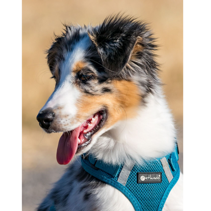 Mesh Vest weich gepolstertes Hundegeschirr