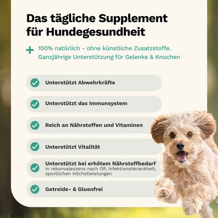 Snoggos Immu Boost – Ergänzungsfutter für Hunde